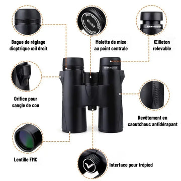 Jumelles de Randonnée Professionnelles 10x42 – Étanches, Portée 1000m, Oculaire 21mm, Corps Aluminium, 630g